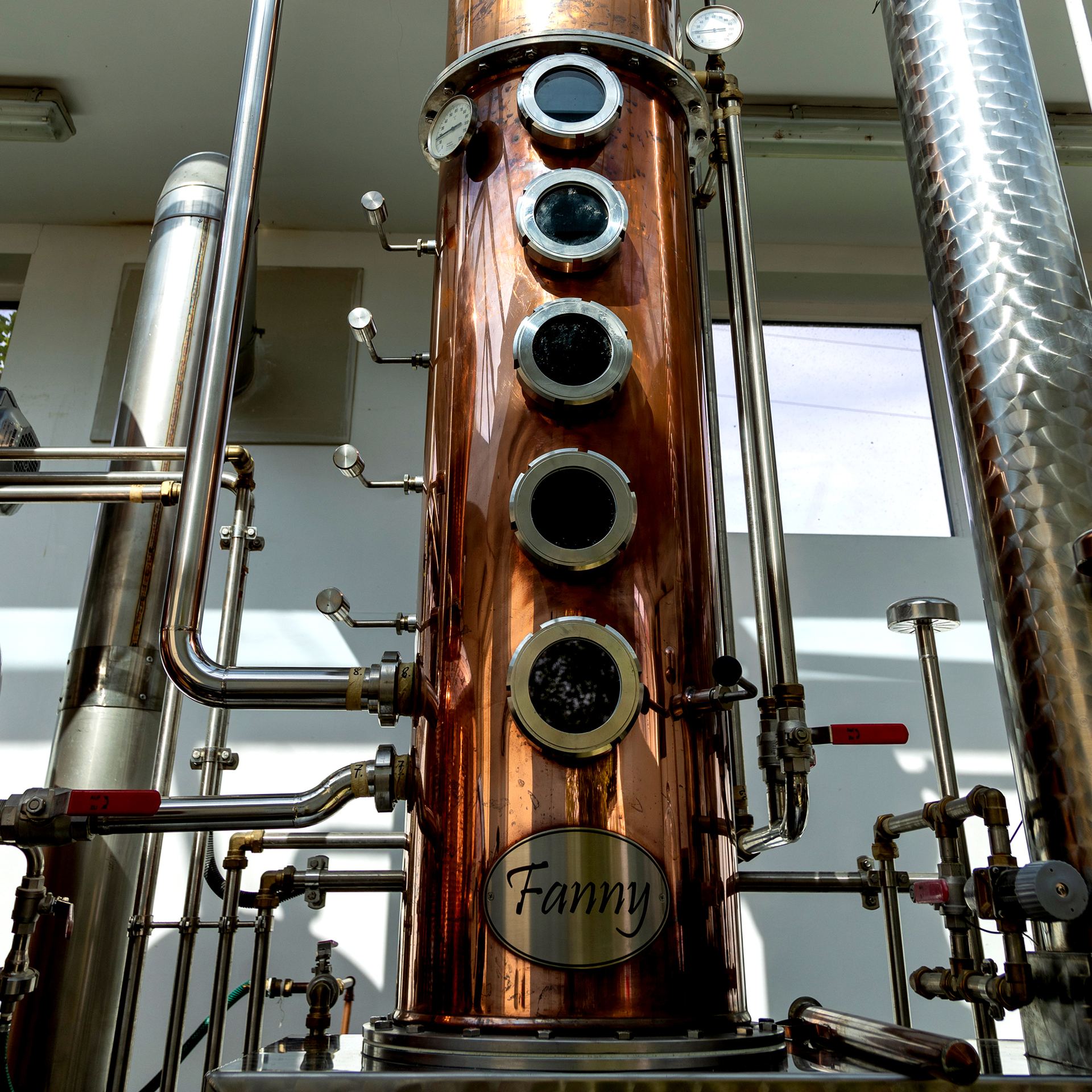 Fanny, our Arnold Holstein copper column still